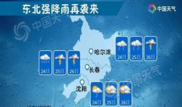 苏力在哪里爆料的新闻最多,揭秘网络热点背后的真相