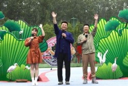麦蔻粉丝爆料视频大全最新,揭秘明星幕后故事