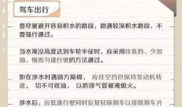 苏力在哪里爆料的新闻最多,揭秘网络热点背后的真相