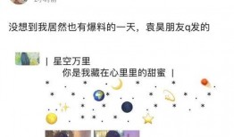 袁昊赵昭仪最新爆料,独家爆料揭露惊人内幕
