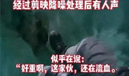 百变公司爆料事件视频,事件背后真相曝光