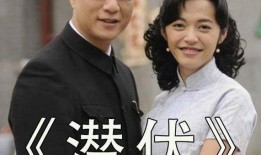 潜伏26集在线观看,揭秘潜伏者生死较量，在线观看惊心动魄